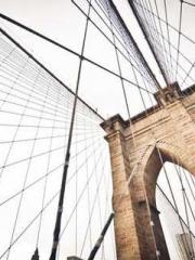 Lin Feng Lin Yun Yao Lin Feng Lin Yun Yao