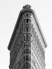 Qi Revival: I woke u Qi Revival: I woke u