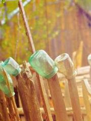 Wang Xuan Mu Qingyue Wang Xuan Mu Qingyue