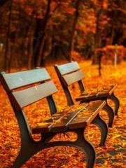 Rebirth as a Court A Rebirth as a Court A