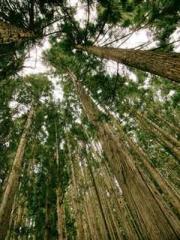 lt;lt;lt;The Absolut lt;lt;lt;The Absolut