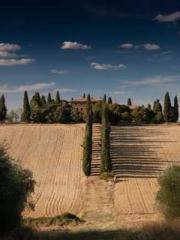 lt;lt;lt;The Dragon lt;lt;lt;The Dragon