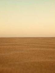 Lin Feng Lin Yun Yao Lin Feng Lin Yun Yao