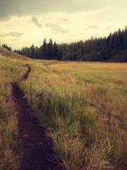 Becoming a Farm Girl
