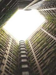 On our wedding night