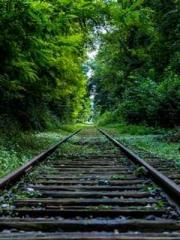 Yellow Spring Expres Yellow Spring Expres