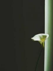 Do not deprive me of Do not deprive me of