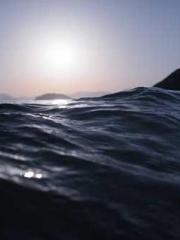 The beloved little b The beloved little b